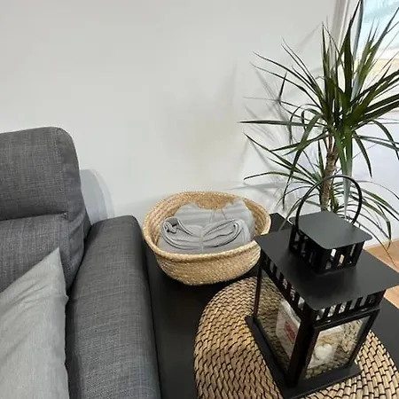 Atico Vintage Con Terraza Apartment *